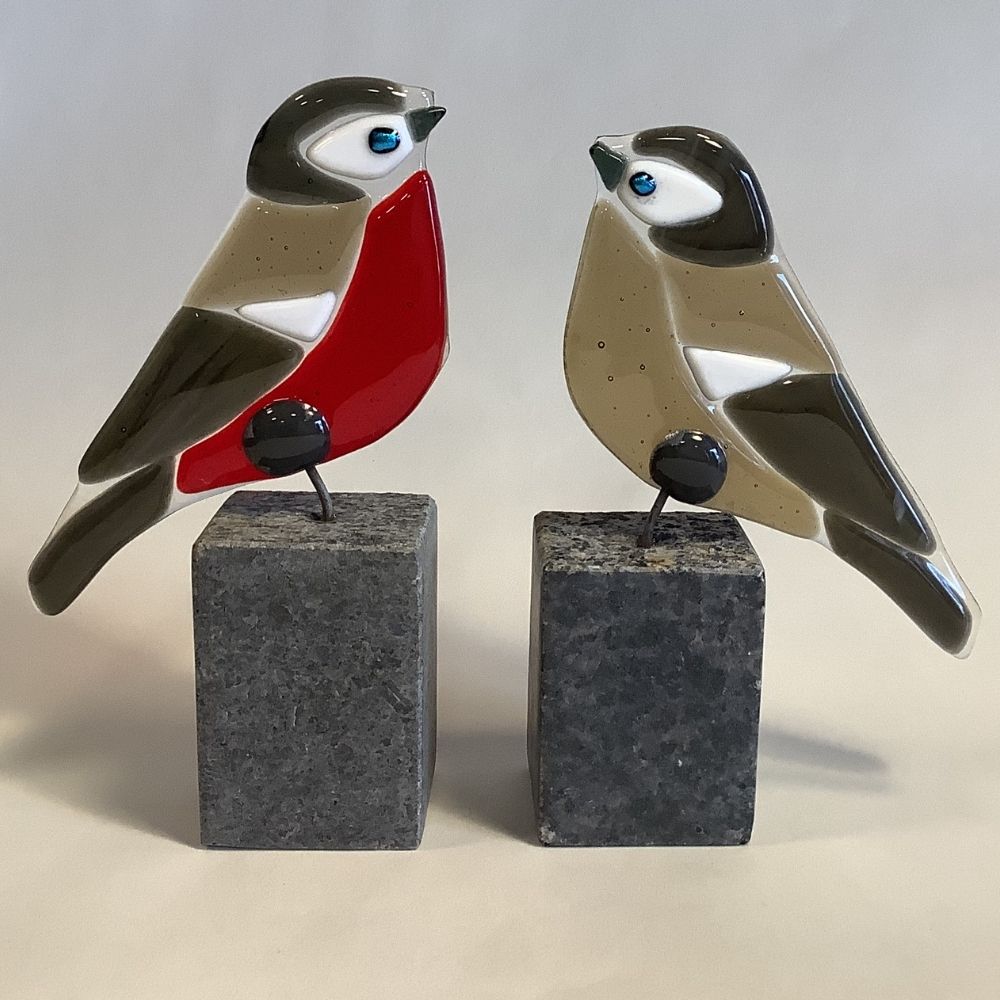 Bogfinke vælg han eller hun