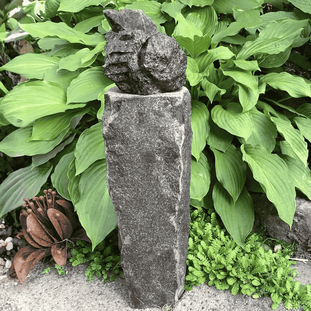 Solsorteunge på høj sokkel